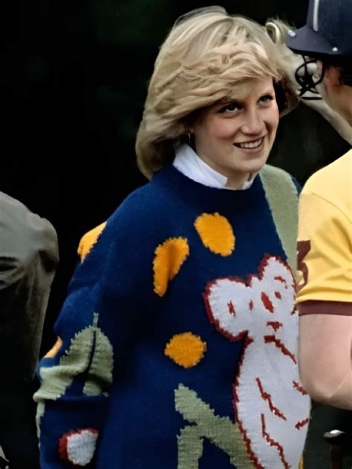 Iconic Princess Diana Sweaters: Style & Finds