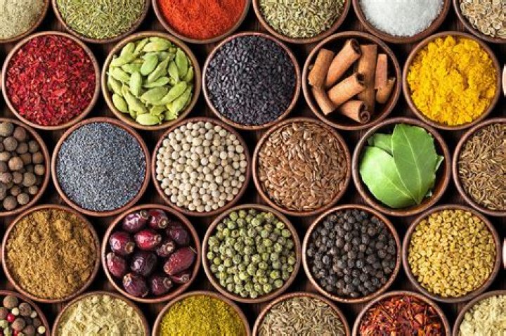 What is a Masala Animal? A Comprehensive Guide to Understanding the Term
