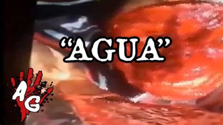 Gruesome "Quieres Agua" Video Gore - Disturbing Footage