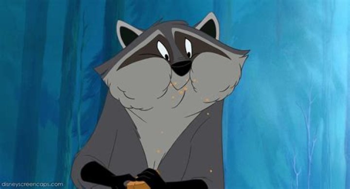 Discover the Fascinating World of the Raccoon from Pocahontas: A Deep Dive