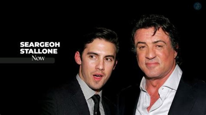 Sylvester Stallone in 2021: Movies & More!