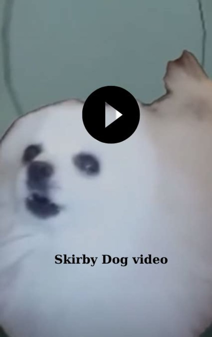 Kirby Dog Video Full: Hilarious Compilation!