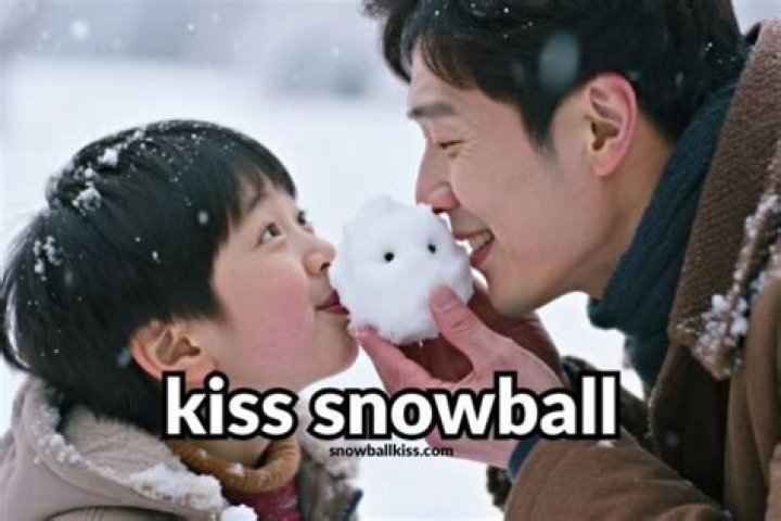 Snowball Kis: The Ultimate Guide to Understanding and Maximizing Investment Opportunities