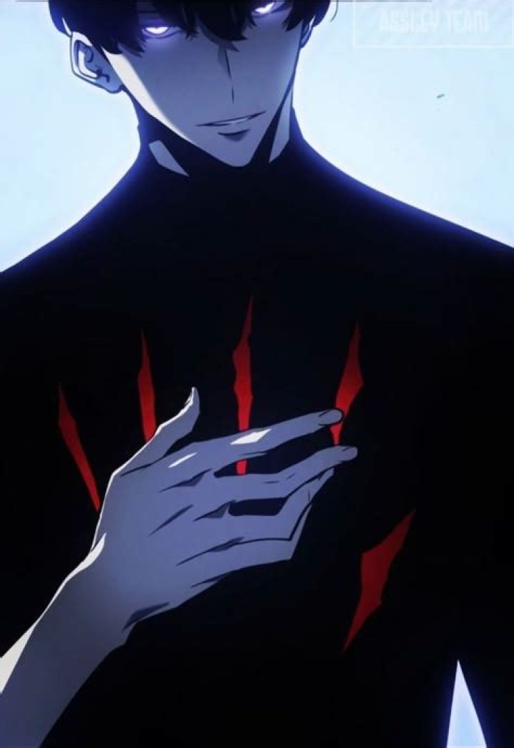 Solo Leveling Panels: Exploring the Depths of the Popular Webtoon