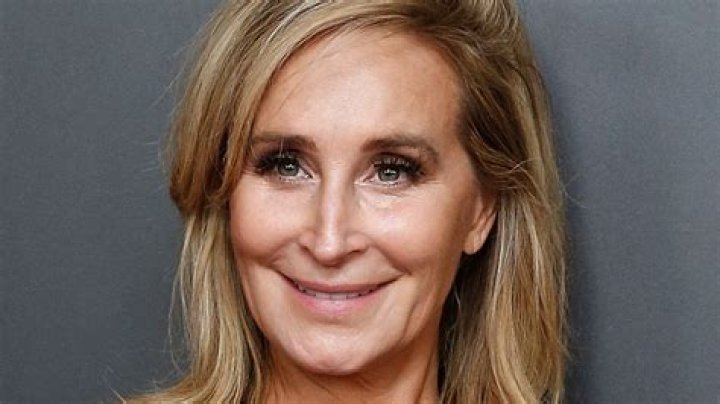 Sonja Morgan Divorce Settlement: A Comprehensive Analysis