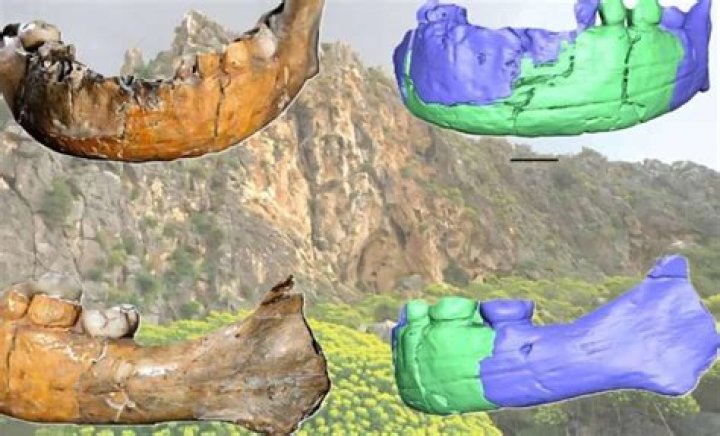 What is SSOTWE? A Comprehensive Guide to Understanding and Utilizing SSOTWE