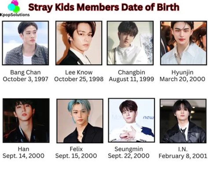 Stray Kids Ages: A Comprehensive Look at the Members' Ages and Profiles
