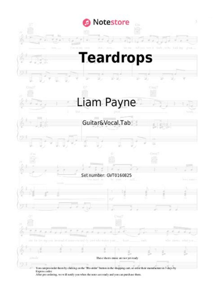 Liam Payne - Teardrops Chords & Lyrics | Easy Guitar Tabs