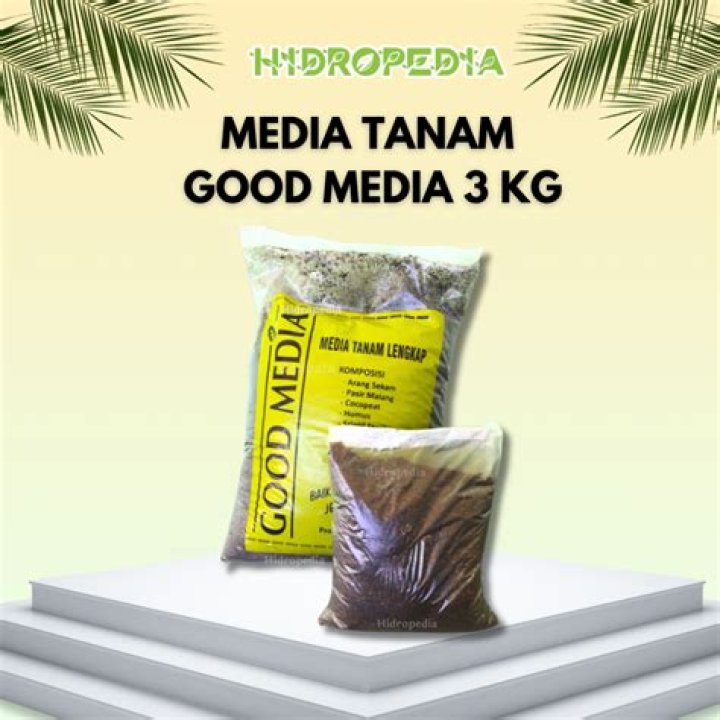 That's What's Good Media: Revolutionizing the Way We Consume Content