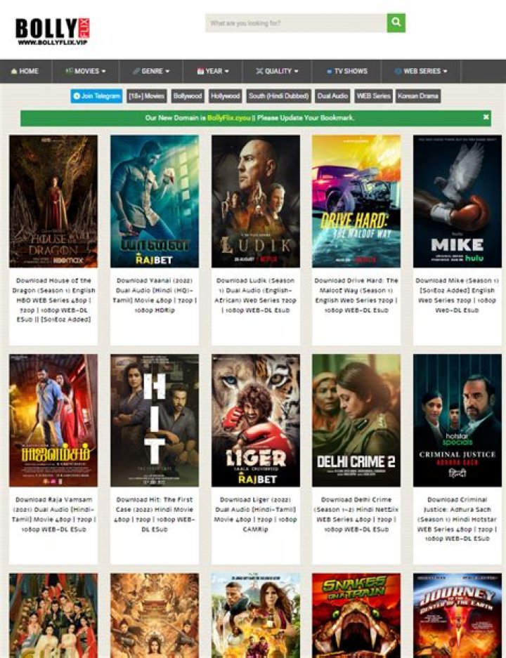The Ultimate Guide to Bollyflix.com: Your Go-To Platform for Indian Movies and Series