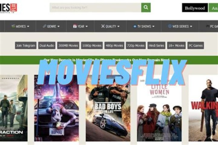 The MoviesFlix In: Your Ultimate Guide to Streaming Movies Online