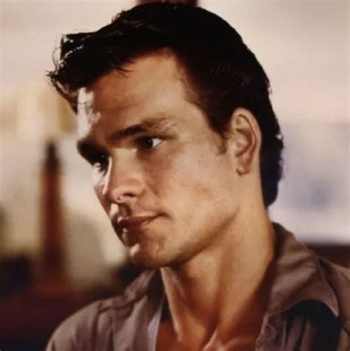 The Outsiders Book: Understanding Darry and His Role