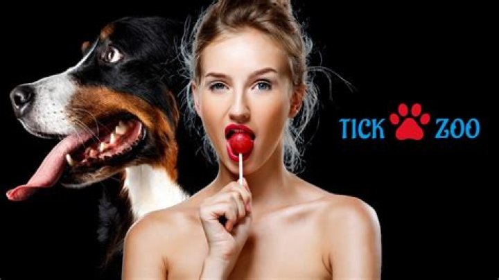 Tickzoo: The Ultimate Guide to Understanding This Unique Platform