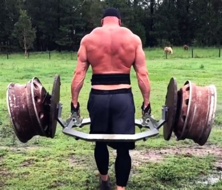 Exploring the Life and Career of Tom Haviland: A Remarkable Journey