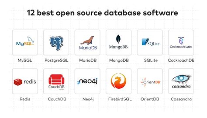Top Download Hubs 2024: Best Software Files for Every Need