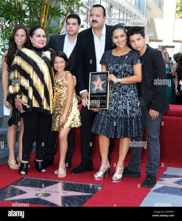 Top Jackerman Products Reviews: Comprehensive Guide to Quality and Performance