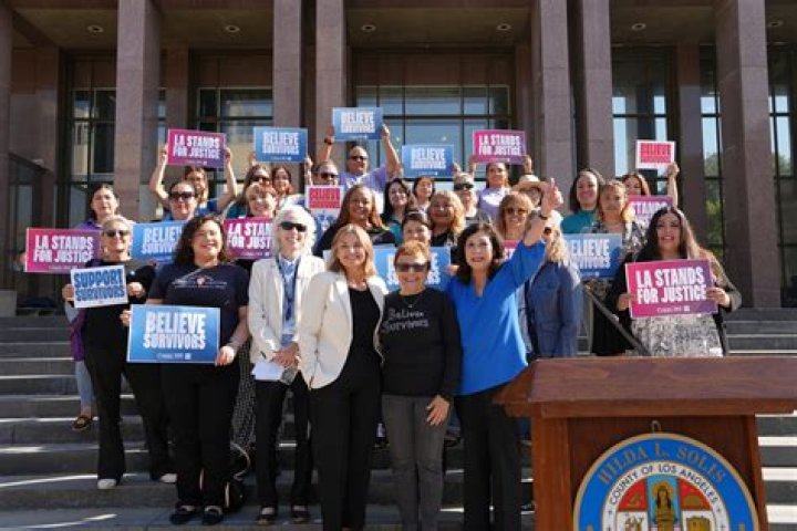 Trees That Survived Hurricanes: Nature's Resilience