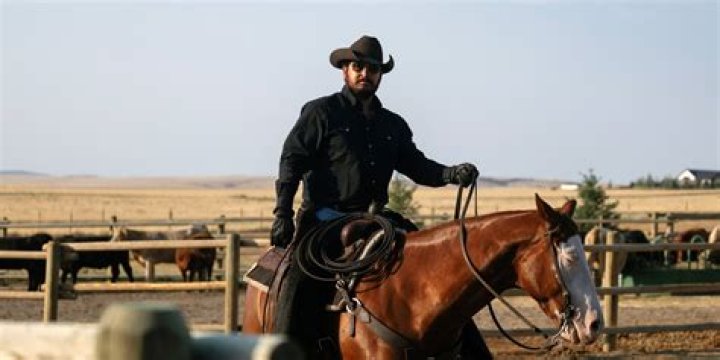 Unraveling the Mystery: Why Is Taylor Sheridan Suing Cole Hauser?