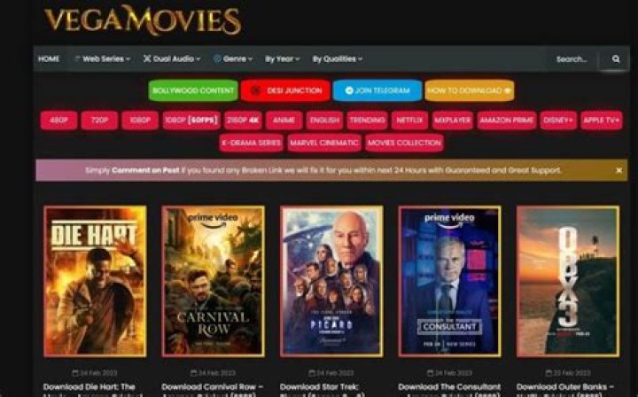 Vigamovies: The Ultimate Guide to a Beloved Movie Streaming Platform