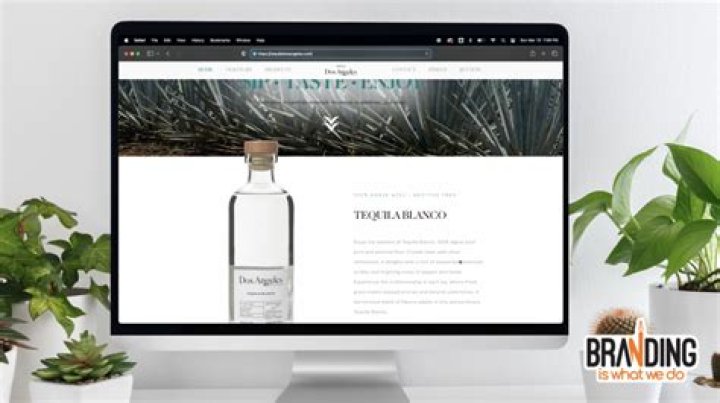 Top Website Designer Denver: Expert Solutions for Your Business