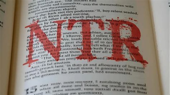 What Does NTR Mean in Text? A Comprehensive Guide to Understanding NTR