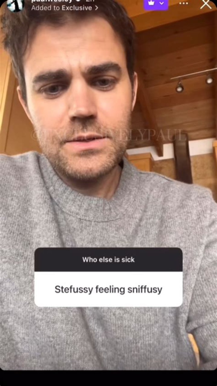 What Does Stefussy Mean TVD: A Comprehensive Guide to Understanding the Term