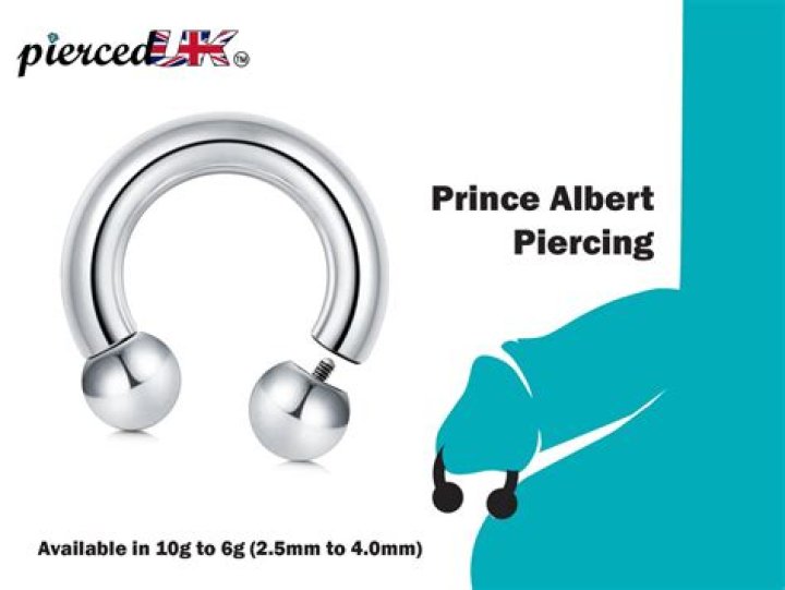 What is a Prince Andrew Piercing? Everything You Need to Know About This Unique Body Modification