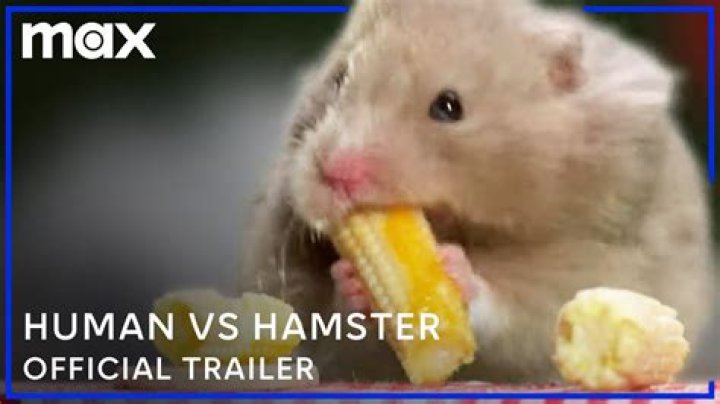 What is X Hamster: A Comprehensive Guide to Understanding the X Hamster Breed