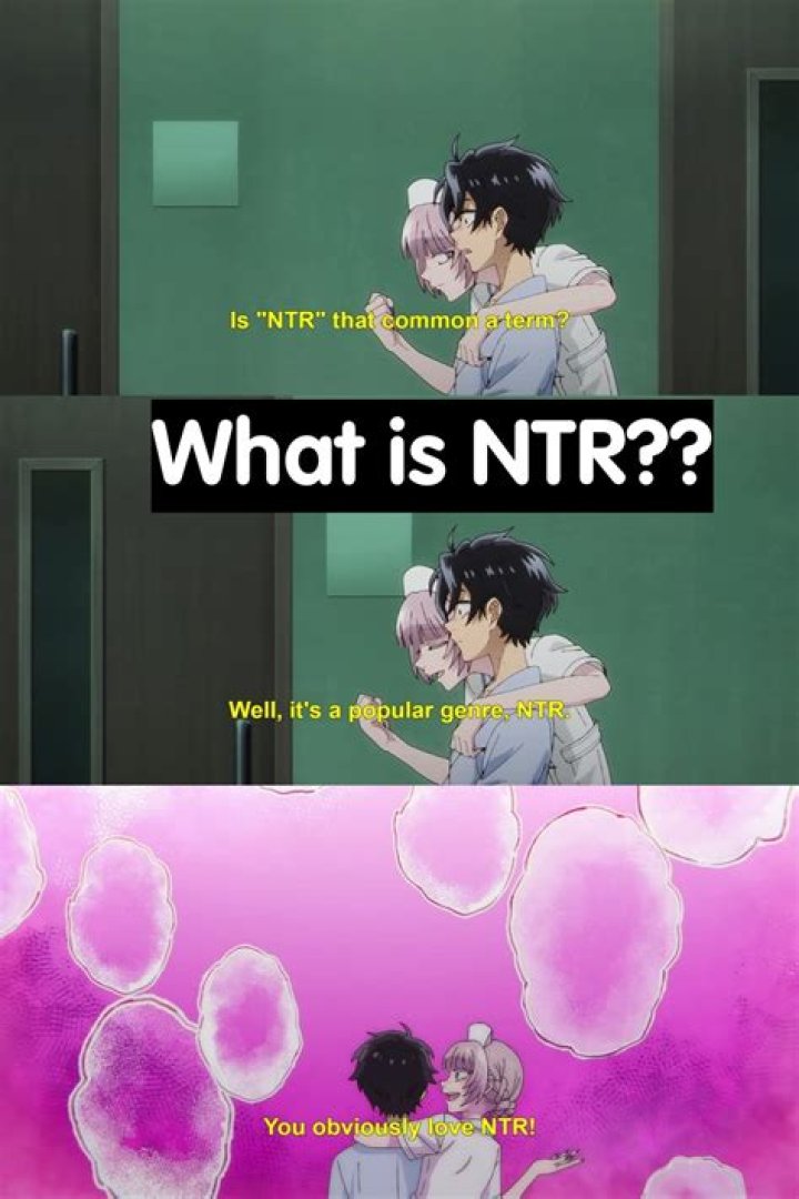 What Does NTR Mean? Exploring the Concept, Implications, and Cultural Significance