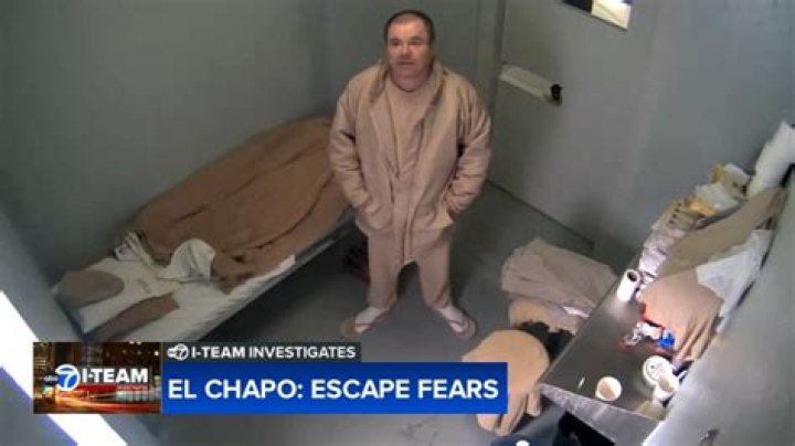 What Was El Chapo's Net Worth? Unraveling the Wealth of the Infamous Drug Lord