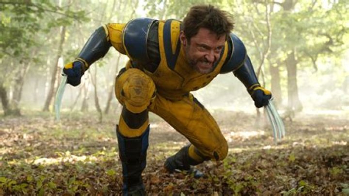 What's the Longest Wolverine Has Been Alive?