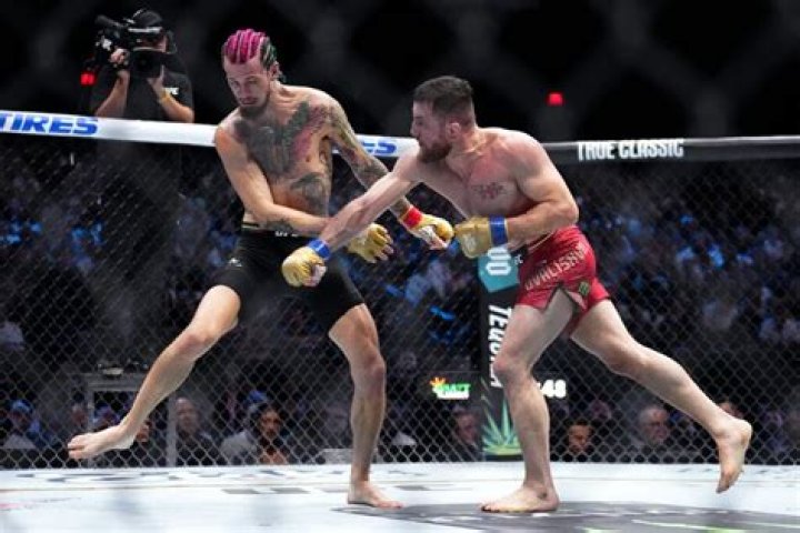 UFC Fight: When is Sean O'Malley's Next Fight?