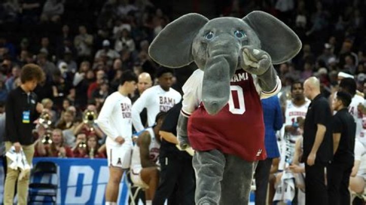 Why an Elephant: The Origin of Alabama's Pachyderm Mascot