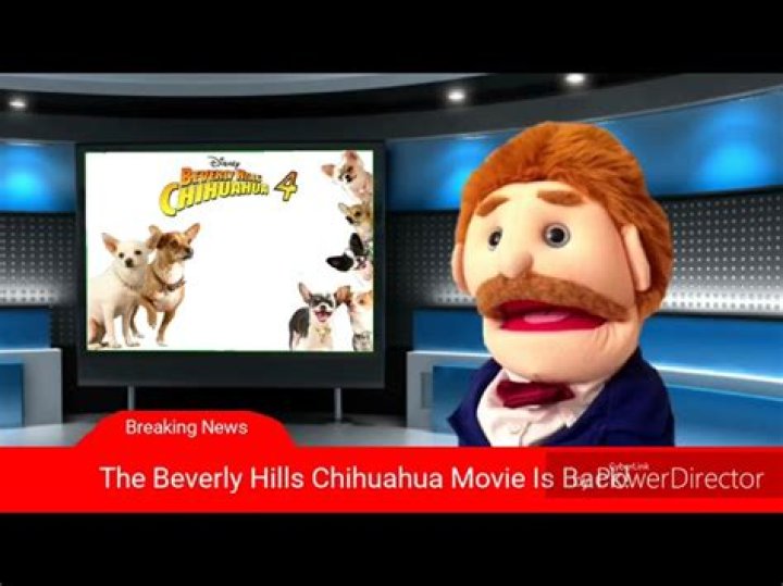 Will There Be a Beverly Hills Chihuahua 4? Discover the Latest Updates and Insights