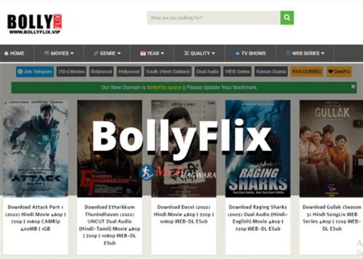 www.bollyflix.com: Your Ultimate Guide to Bollywood Movies and Entertainment